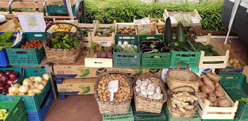 Mercado ecológico en Camargo. Mercado de productos del campo