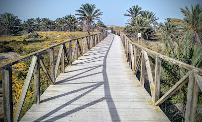 Parque Alfonso XIII en Guardamar del Segura. Parque