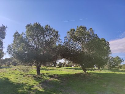 Parque de los Alcornoques en Tres Cantos. Parque