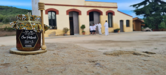 Can Parcala (Fundació El Maresme) - Fundació Alsina i Arenas i Baum de Bernis en Cabrera de Mar. Apicultor