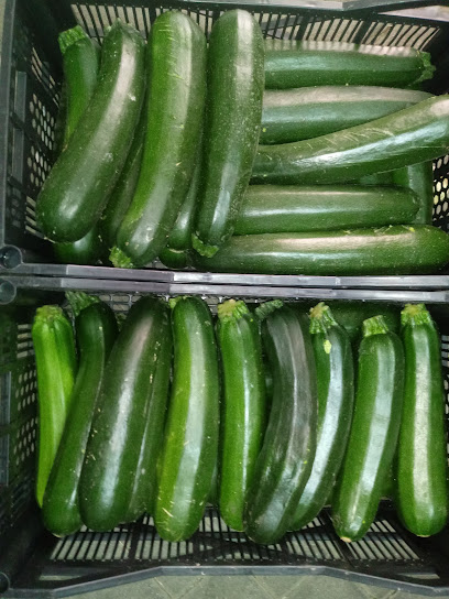 Frutas y verduras en El Álamo. Frutería