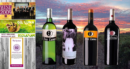 Bodegas Gil Luna en Toro. Bodega