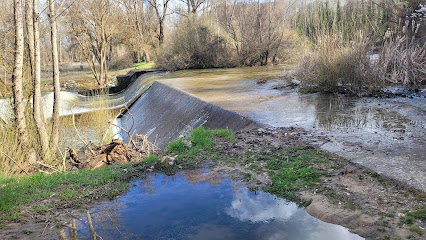 Paseo fluvial en Arévalo. Parque ecológico