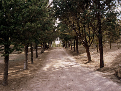 Parque Cerrico Bellote en Fuente-Álamo. Parque