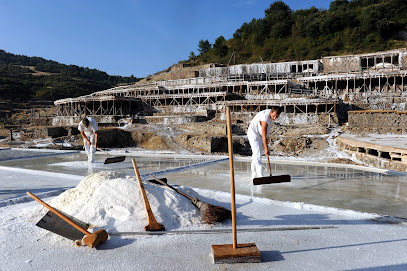 Valle Salado de Añana en Salinas de Añana. Atracción turística