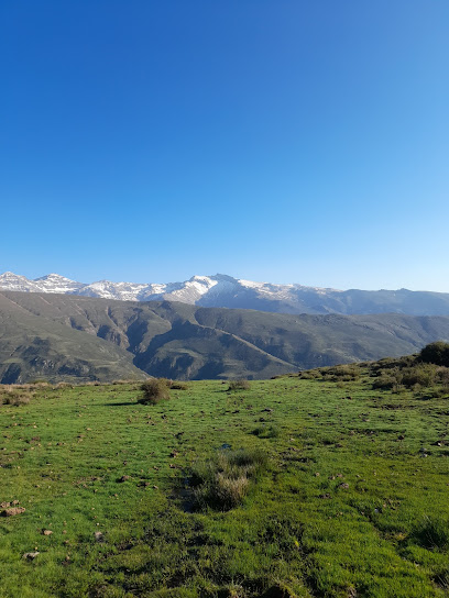 Fuente de Los Amigos en Güejar Sierra. Fuente de agua potable