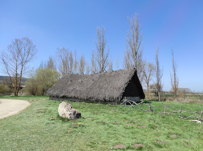 CAREX Centro de Arqueología Experimental en Atapuerca. Museo arqueológico