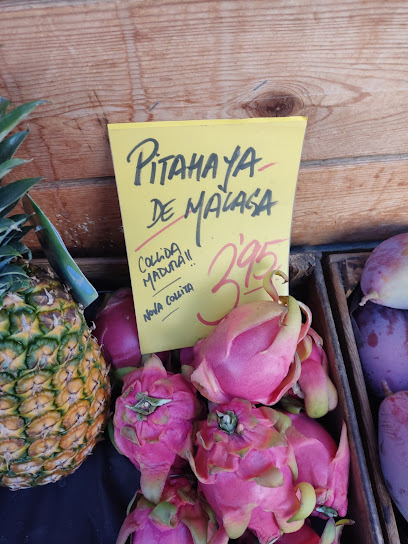 Fruita Garcia Vicent en Les Borges Blanques. Frutería