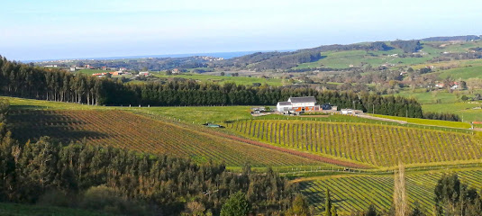 Berryfields en San Miguel de Meruelo. Sin categoría