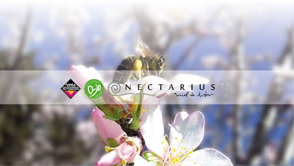 Nectarius - Miel de Autor en Cifuentes. Tienda de alimentos orgánicos