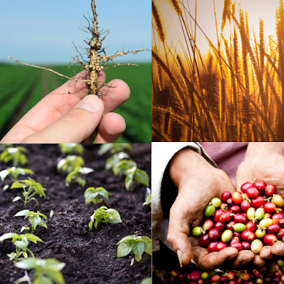 Factor Agro Ecológico S.L. en La Seca. Sin categoría