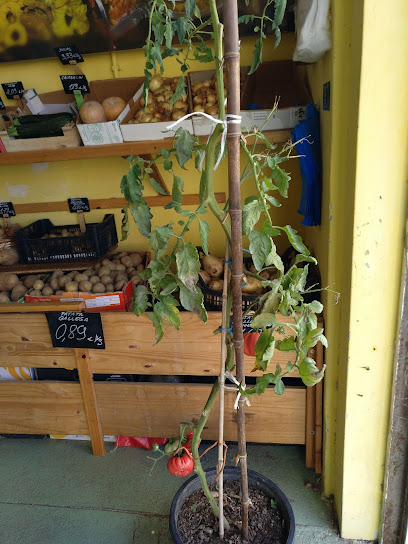 Frugal en Burgo. Frutería
