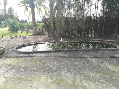 Sotillo Nuevo en San José del Valle. Cooperativa agropecuaria