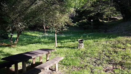 ÁREA RECREATIVA DE NAVELGAS en Tineo. Parque ecológico