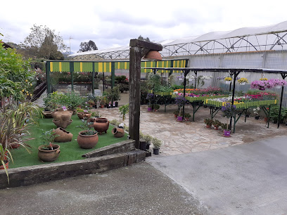 Etxelore Lorategia en Meñakabarrena. Vivero