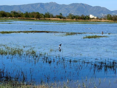Parque Natural dels Aiguamolls de l'Empordà en Castelló d'Empúries. Reserva natural