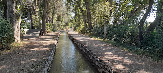 Acequia en Laguna de Duero. Zona de senderismo