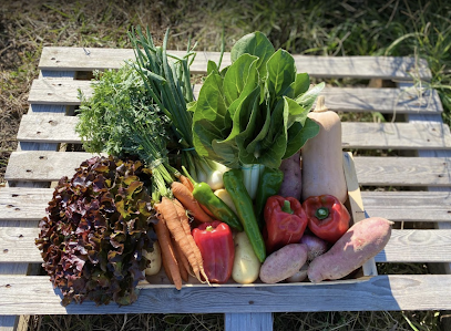 Collita Zero en Arbúcies. Mayorista de frutas y hortalizas