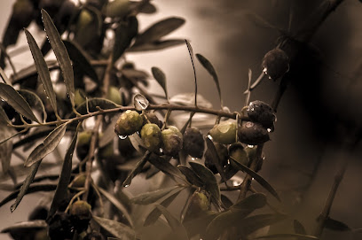 Aceite de Oliva FDH en Fuentelespino de Haro. Comercio
