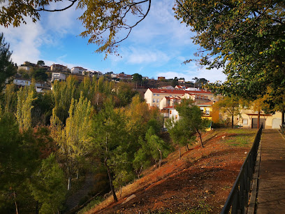 Parque Municipal de Valdelaguna en Valdelaguna. Parque