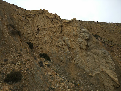 Pistas Fósiles De Bueña en Bueña. Conservación del patrimonio