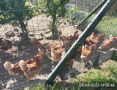 Granja Camperos del Ason en Arredondo. Granja