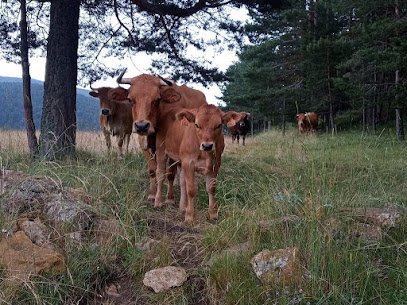 Fernando Robres Monforte en Mosqueruela. Carnicería