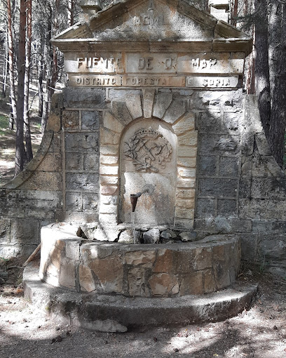 Fuente de Doña Mari en S. Leonardo de Yagüe. Fuente de agua potable