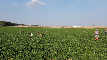 Viveros Rio Eresma SL en Navalmanzano. Sin categoría