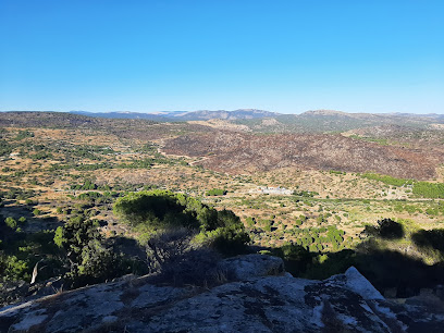Pico Las Mesas. Ruta La Niña Montero. en El Hoyo de Pinares. Bosque nacional