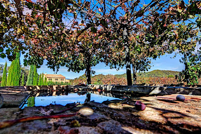 Celler Can Roda - DO Alella en Santa Maria de Martorelles. Bodega
