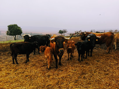 Ganadería Valdenuño. en Valdenuño Fernández. Ganadero