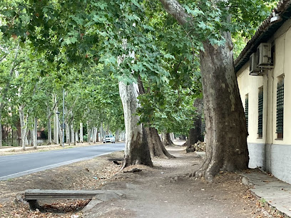 Camino Natural del Tajo en Aranjuez. Zona de senderismo
