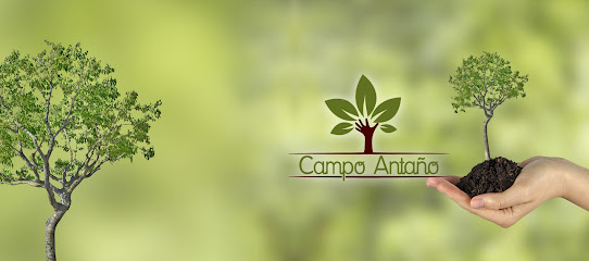 Campo Antaño en Mancha Real. Oficinas de empresa