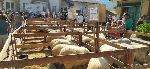 Uharte Arakil Beriain en Uharte Arakil. Deportes de aventura