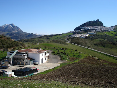 OLEUM VIRIDE; ALMAZARA EL MANZANILLO en Zahara de la Sierra. Almazara