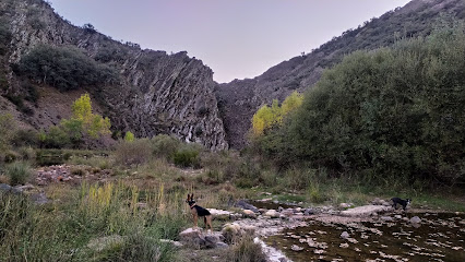 Área Recreativa del Acebo y las Fuentes en Navas de Estena. Área de descanso