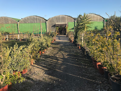 Viveros los Planteles en Castellar de la Frontera. Centro de jardinería