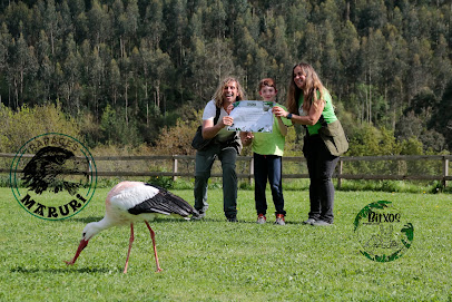 Rapaces Maruri-Jatabe en Maruri. Centro educativo