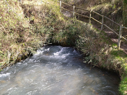 Nacedero del Río Queiles en Vozmediano. Reserva natural