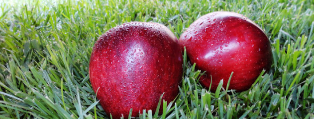 Fruit Nature en Miralcamp. Mayorista de frutas