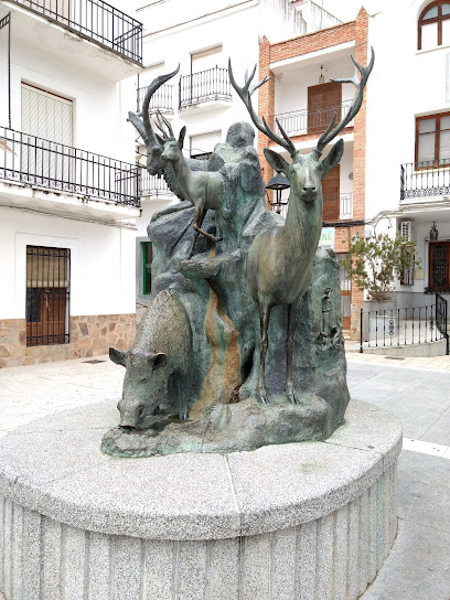 Ayuntamiento De Fuencaliente en Fuencaliente. Ayuntamiento