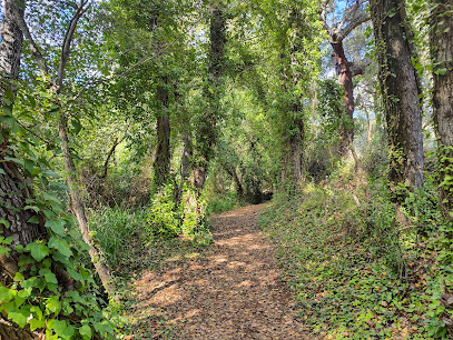 Bosque de las Letras en Santa Ana la Real. Zona de senderismo