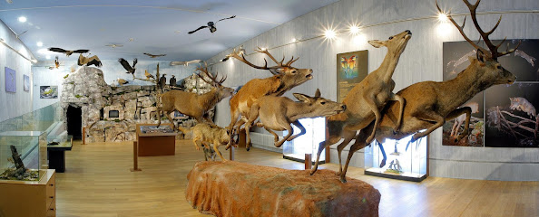 Museo de la Naturaleza Valle del Alberche en Barraco. Museo