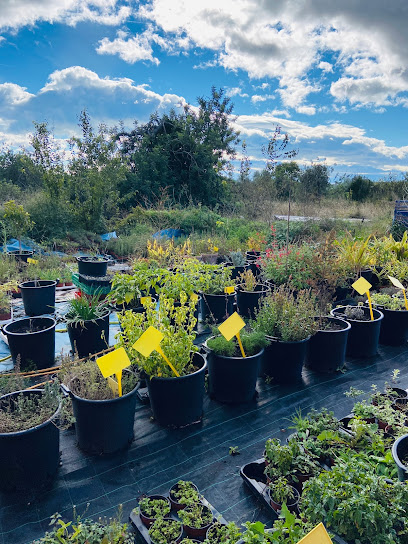 Finca Eden