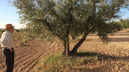 La Grama - Organic Olivummh! en La Guardia. Almazara