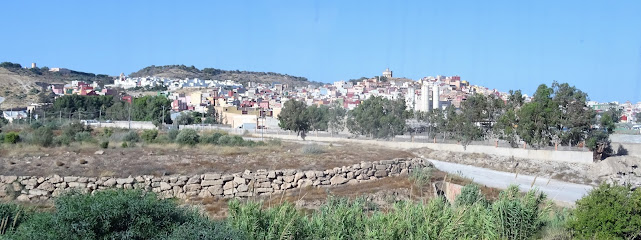 Guelaya Ecologistas en Acción en Melilla. Vivero