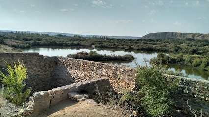 Parque Regional del Sureste en Velilla de San Antonio. Reserva natural