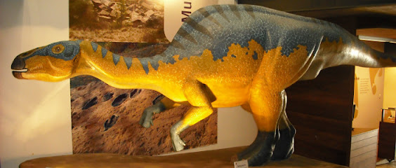 Museo de Dinosaurios de Arén en Arén. Museo