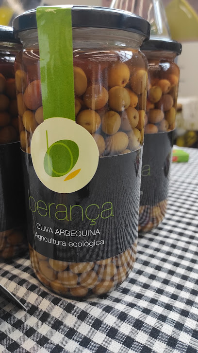 Oli d'oliva verge extra ecològic Berança en Bovera. Oficinas de empresa
